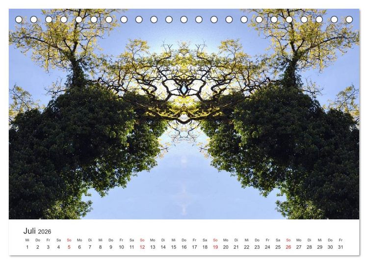 Produktbild: Spiegelwelten - Natur anders sehen (Tischkalender 2026 DIN A5 quer), CALVENDO Monatskalender