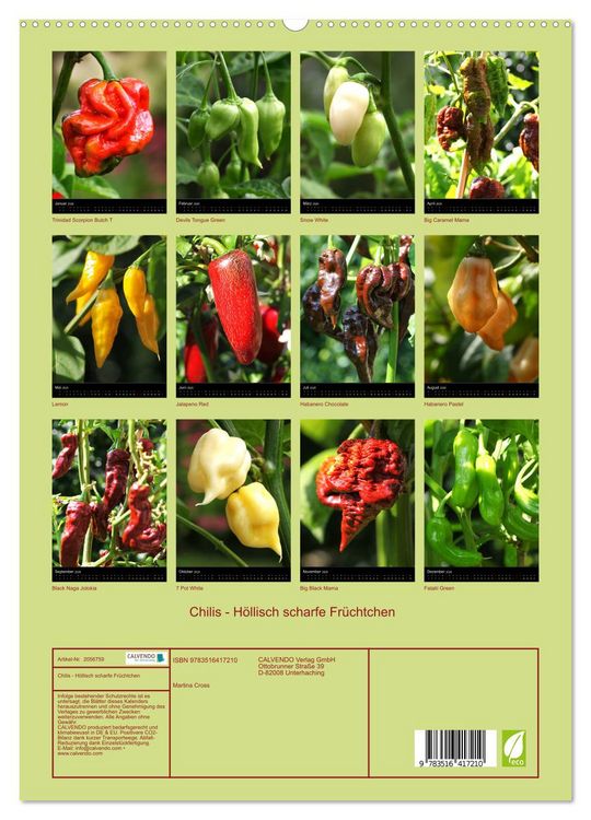 Produktbild: Chilis - H&ouml;llisch scharfe Fr&uuml;chtchen (hochwertiger Premium Wandkalender 2026 DIN A2 hoch), Kunstdruck in Hochglanz