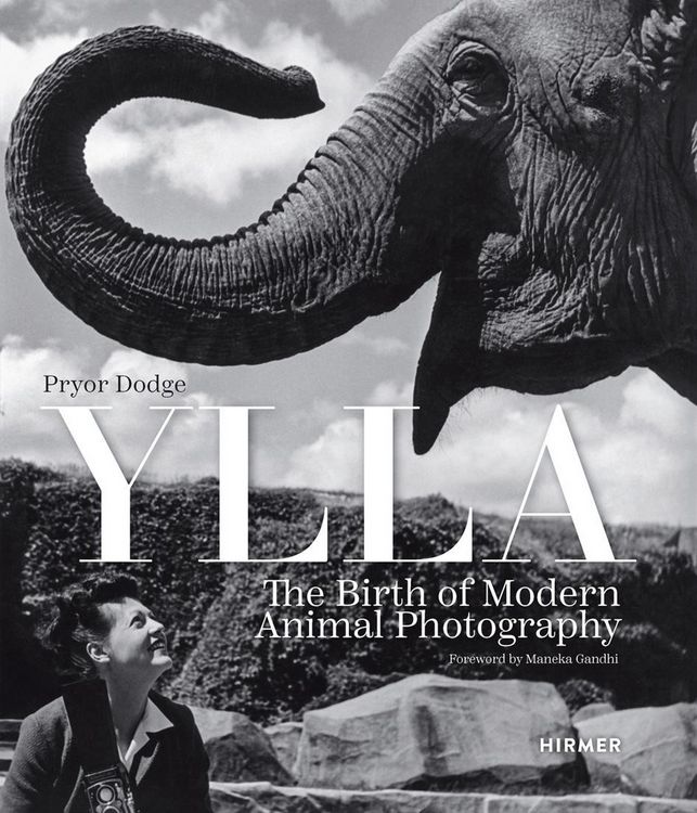 Produktbild: Ylla