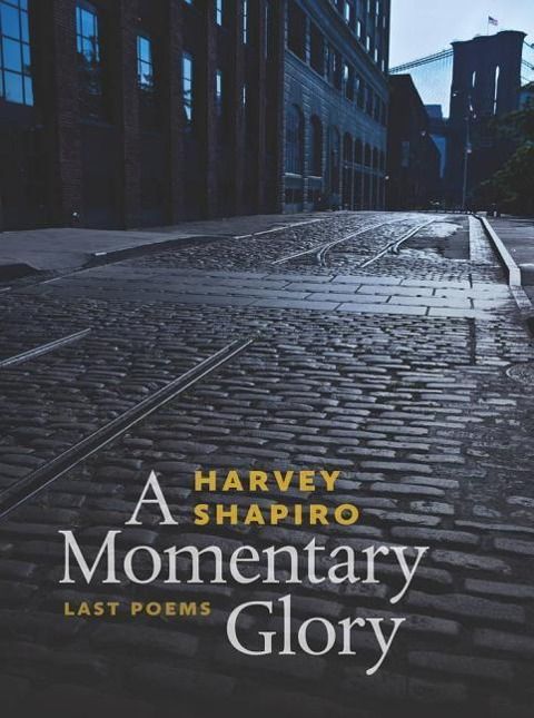 Produktbild: A Momentary Glory