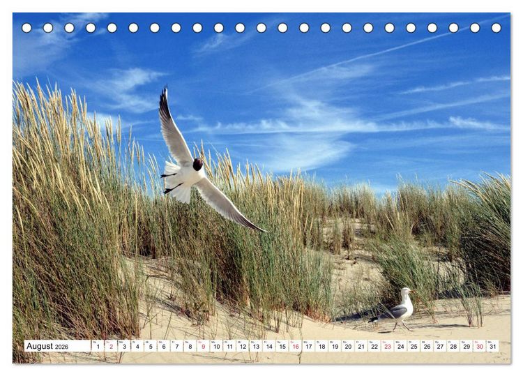 Produktbild: Ouddorp - Nordseeperle (Tischkalender 2026 DIN A5 quer), CALVENDO Monatskalender