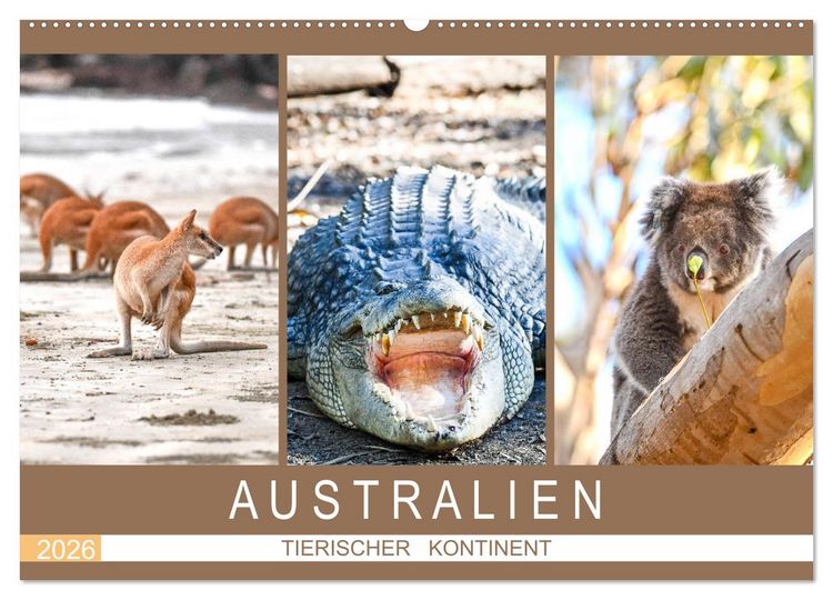 Produktbild: Australien, tierischer Kontinent (Wandkalender 2026 DIN A2 quer), CALVENDO Monatskalender