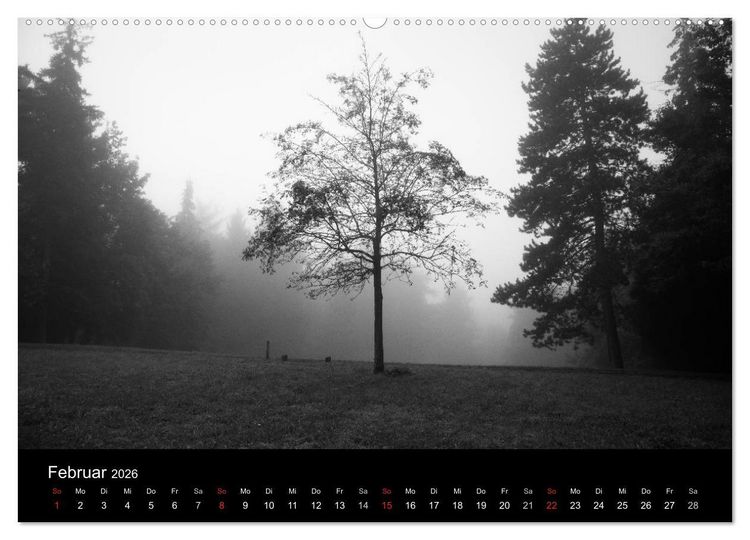 Produktbild: B&auml;ume trees 2026 (Wandkalender 2026 DIN A2 quer), CALVENDO Monatskalender