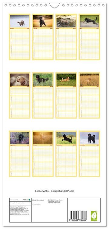 Produktbild: Familienplaner 2027 - Lockenw&ouml;lfe - Energieb&uuml;ndel Pudel mit 5 Spalten (Wandkalender, 21 x 45 cm) CALVENDO