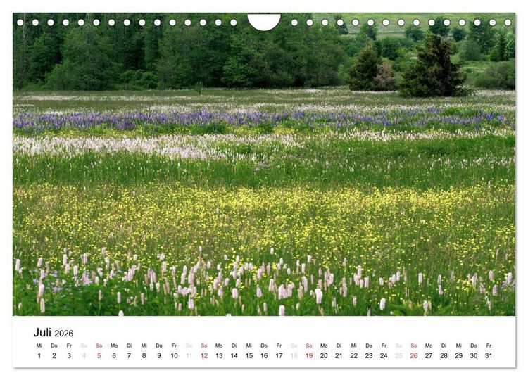 Produktbild: Naturerlebnis im Biosph&auml;renreservat Rh&ouml;n (Wandkalender 2026 DIN A4 quer), CALVENDO Monatskalender