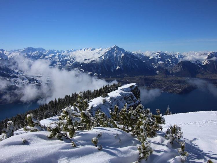 Produktbild: CALVENDO Puzzle Niederhorn, Berner Oberland, Schweiz | 1000 Teile Lege-Gr&ouml;&szlig;e 64x48cm Foto-Puzzle f&uuml;r gl&uuml;ckliche Stunden