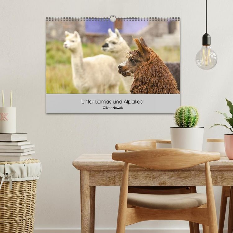 Produktbild: Unter Lamas und Alpakas (Wandkalender 2027 DIN A3 quer), CALVENDO Monatskalender