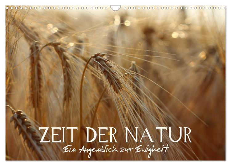 Produktbild: Zeit der Natur - Ein Augenblick zur Ewigkeit (Wandkalender 2026 DIN A3 quer), CALVENDO Monatskalender