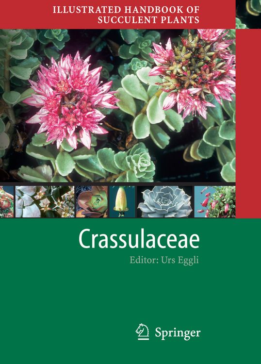 Produktbild: Illustrated Handbook of Succulent Plants: Crassulaceae
