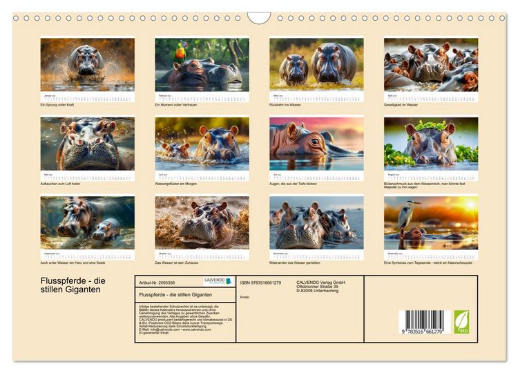Produktbild: Flusspferde - die stillen Giganten (Wandkalender 2026 DIN A3 quer), CALVENDO Monatskalender