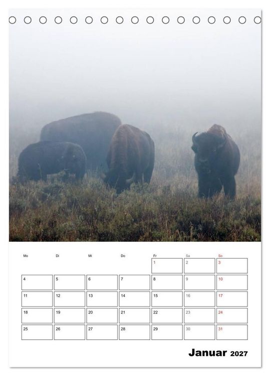 Produktbild: Yellowstone und Grand Tetons Nationalparks (Tischkalender 2027 DIN A5 hoch), CALVENDO Monatskalender