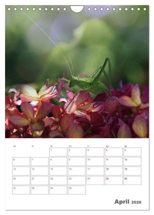 Produktbild: Helden in der Natur (Wandkalender 2026 DIN A4 hoch), CALVENDO Monatskalender