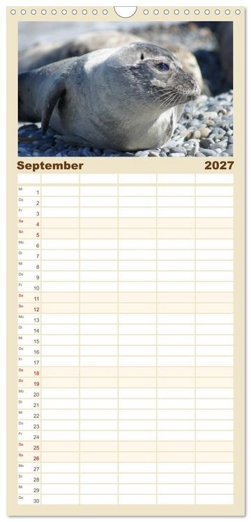 Produktbild: Familienplaner 2027 - Das Leben der Robben mit 5 Spalten (Wandkalender, 21 x 45 cm) CALVENDO