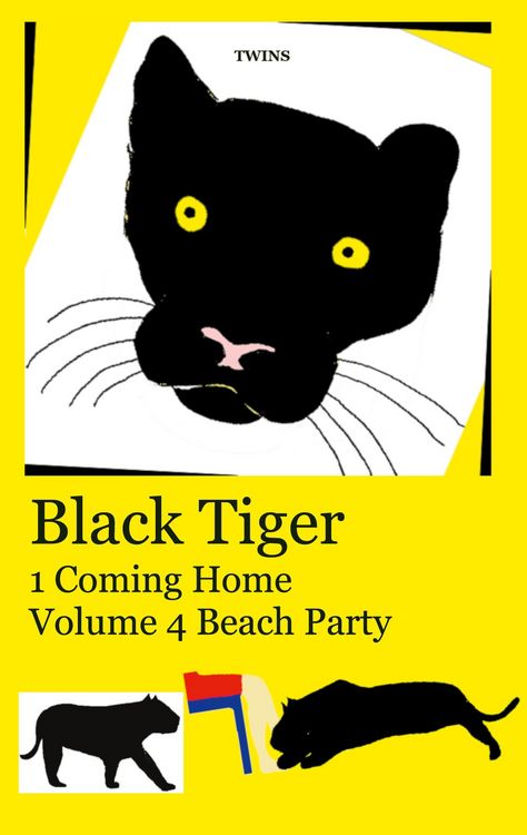 Produktbild: Black Tiger 1 Coming Home