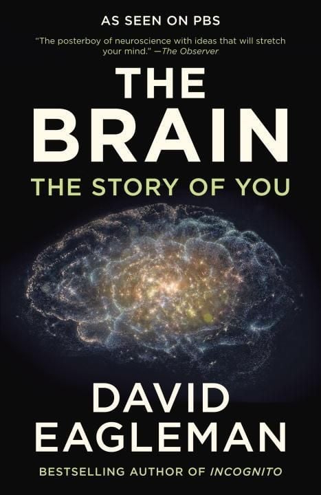 Produktbild: The Brain
