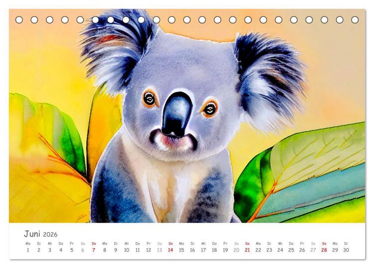 Produktbild: Der Koala 2026. Aschgrauer Beutelb&auml;r (Tischkalender 2026 DIN A5 quer), CALVENDO Monatskalender