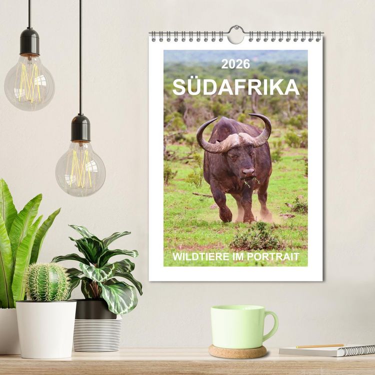 Produktbild: S&Uuml;DAFRIKA - WILDTIERE IM PORTRAIT (Wandkalender 2026 DIN A4 hoch), CALVENDO Monatskalender