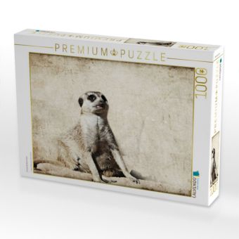 Produktbild: CALVENDO Puzzle EinzahnErdh&ouml;rnchen | 1000 Teile Lege-Gr&ouml;&szlig;e 64x48cm Foto-Puzzle f&uuml;r gl&uuml;ckliche Stunden