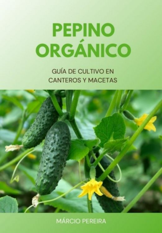 Produktbild: Pepino Org&aacute;nico