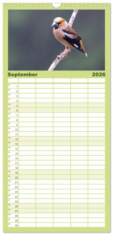 Produktbild: Familienplaner 2026 - Fantastische Vogelwelt Slowenien mit 5 Spalten (Wandkalender, 21 x 45 cm) CALVENDO