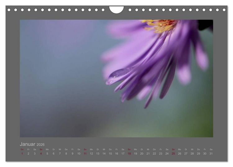 Produktbild: Kleine, gro&szlig;e Tropfenwelt (Wandkalender 2026 DIN A4 quer), CALVENDO Monatskalender