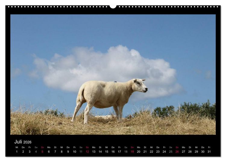 Produktbild: Texel, eine Perle Hollands (Wandkalender 2026 DIN A2 quer), CALVENDO Monatskalender