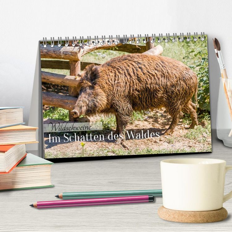 Produktbild: Wildschweine - Im Schatten des Waldes (Tischkalender 2026 DIN A5 quer), CALVENDO Monatskalender
