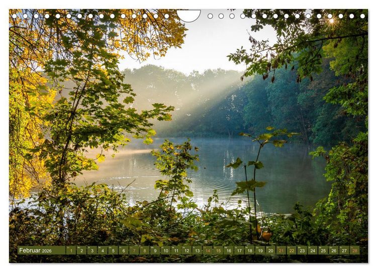 Produktbild: Herbst im Dieskauer Park (Wandkalender 2026 DIN A4 quer), CALVENDO Monatskalender