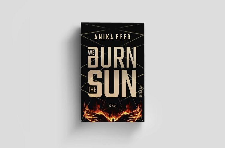 Produktbild: We Burn the Sun