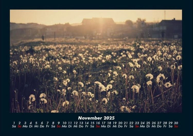 Produktbild: Blumenkalender 2025 Fotokalender DIN A4