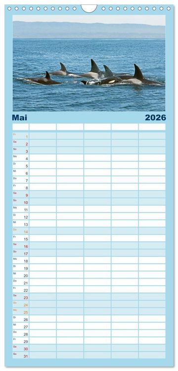 Produktbild: Familienplaner 2026 - Orcas: Schwarz-wei&szlig;e Giganten mit 5 Spalten (Wandkalender, 21 x 45 cm) CALVENDO