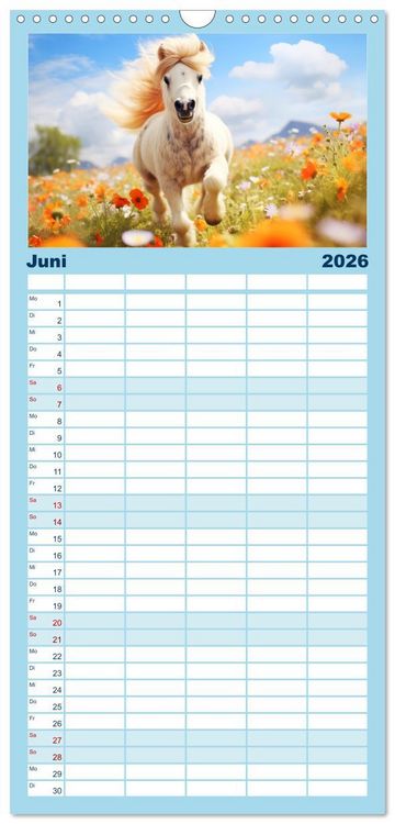 Produktbild: Familienplaner 2026 - Kleine Pferde. Mini-Ponys zum verlieben mit 5 Spalten (Wandkalender, 21 x 45 cm) CALVENDO