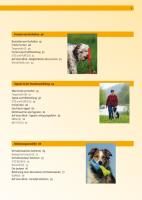 Produktbild: Hundeschule