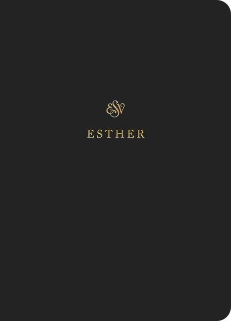 Produktbild: ESV Scripture Journal