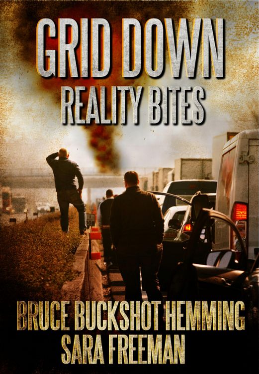 Produktbild: Grid Down Reality Bites