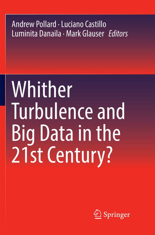 Produktbild: Whither Turbulence and Big Data in the 21st Century?