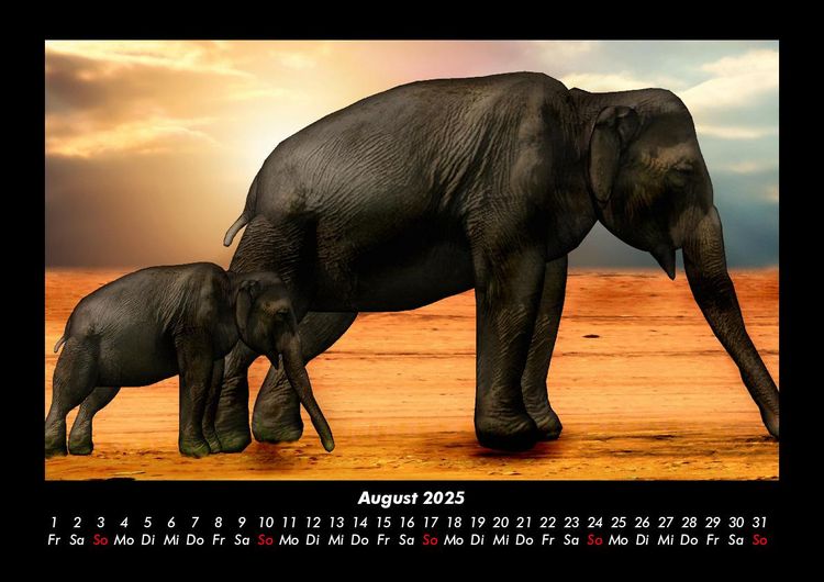 Produktbild: Der Elefantenkalender 2025 Fotokalender DIN A3