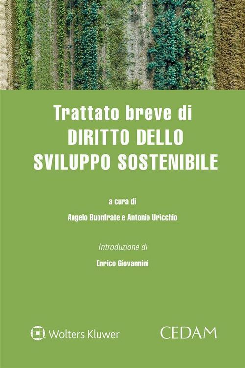 Produktbild: Trattato breve di diritto dello sviluppo sostenibile