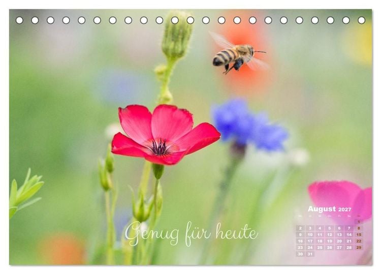 Produktbild: Bl&uuml;ten,Fl&uuml;gel und Gedanken &ndash; Ein Jahr in Bildern und Worten (Tischkalender 2027 DIN A5 quer), CALVENDO Monatskalender