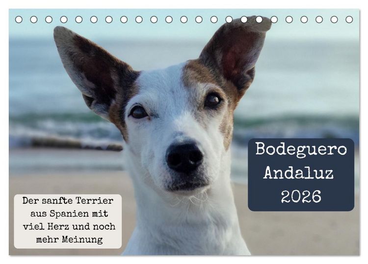 Produktbild: Ratonero Bodeguero Andaluz (Tischkalender 2026 DIN A5 quer), CALVENDO Monatskalender