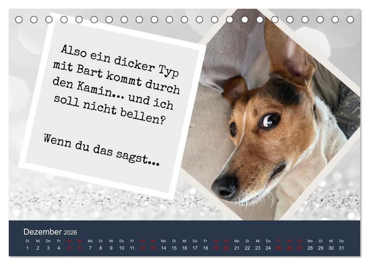 Produktbild: Ratonero Bodeguero Andaluz (Tischkalender 2026 DIN A5 quer), CALVENDO Monatskalender