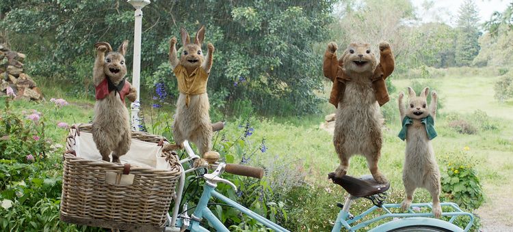 Produktbild: Peter Hase