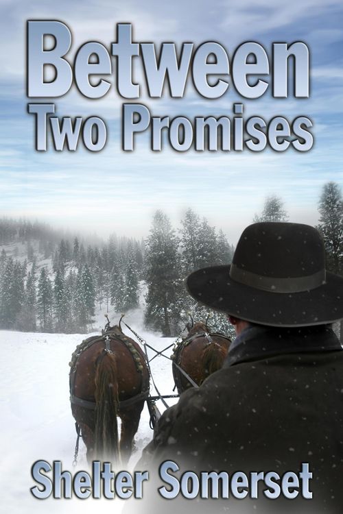 Produktbild: Between Two Promises