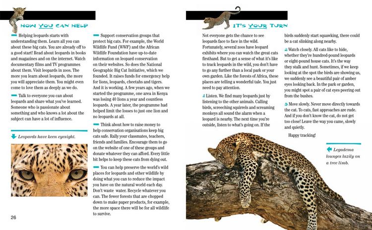 Produktbild: Face to Face with Leopards