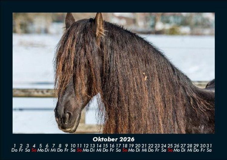 Produktbild: Die Welt der Pferde 2026 Fotokalender DIN A5