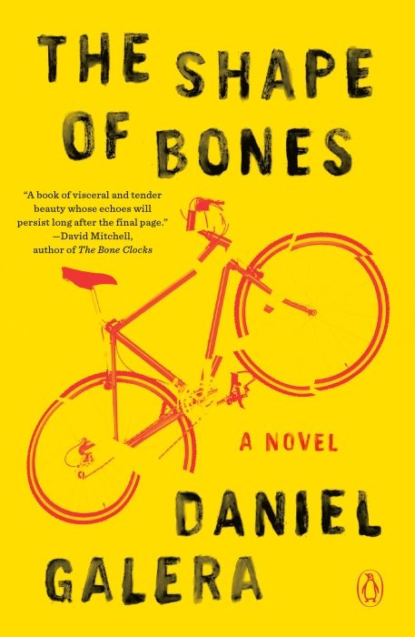 Produktbild: The Shape of Bones