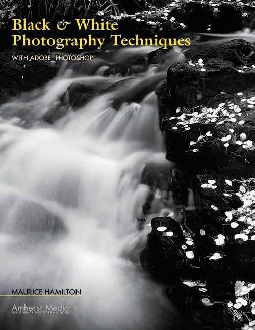 Produktbild: Hamilton, M: Black & White Photography Techniques