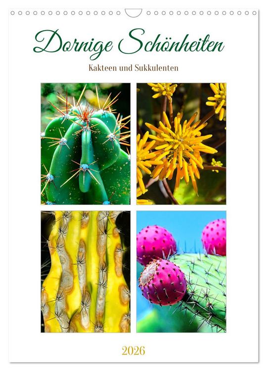 Produktbild: Dornige Sch&ouml;nheiten - Kakteen und Sukkulenten (Wandkalender 2026 DIN A3 hoch), CALVENDO Monatskalender
