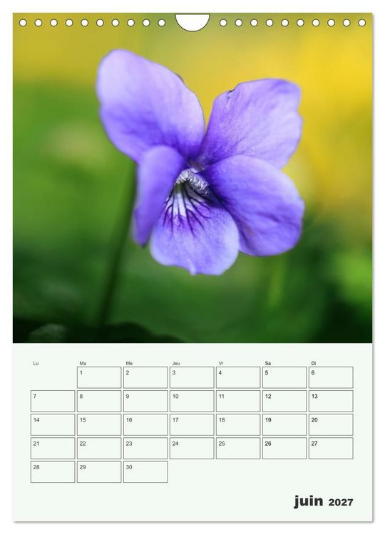 Produktbild: Fleurs en toute simplicit&eacute; - Beaut&eacute; minimaliste (Calendrier mural 2027 DIN A4 horizontal), CALVENDO calendrier mensuel