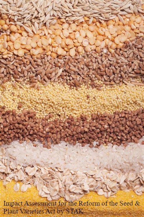 Produktbild: Impact assessment STAK: Reform of the Seed & Plant Varieties Act